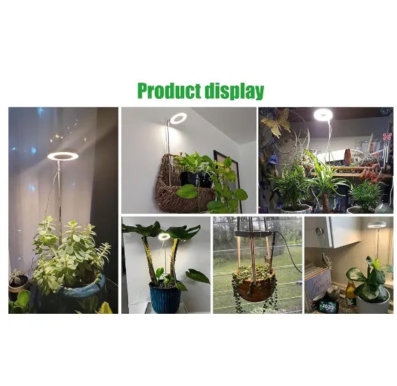 Timing Dimming Succulent Bonsai Plant Grow Light
