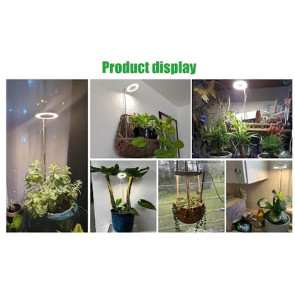 Timing Dimming Succulent Bonsai Plant Grow Light
